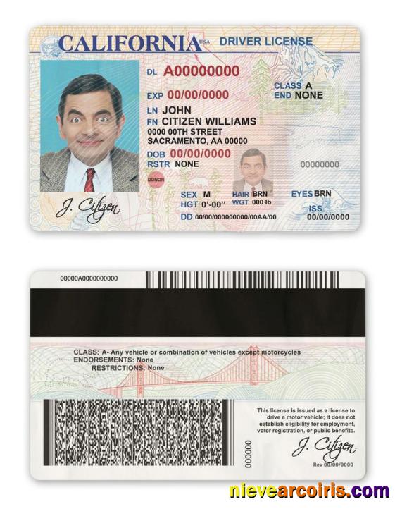 USA state California driver license